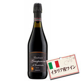 イタリア産 ランブルスコ グラスパロッサ アマビーレ （中甘口 微発砲 赤ワイン） 750ml