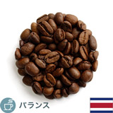 限定品 コスタリカ ジャガー ハニー