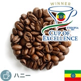 限定品 COE2021 エチオピア ビルハヌ テクル マリボ