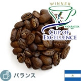 ����i COE2025 W.P �j�J���O�A �G�� �p���V�I