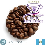 限定品 COE2025 OOAK グアテマラ グラニート デ オロ