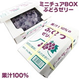 賞味期限2024/03/05 果汁100% ぶどうゼリー 23個 （ミニチュアBOX入り）