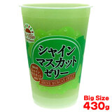 YVC}XJbg[[ 430g i5`12̔jP kCY
