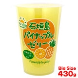 Ί_pCibv[[ 430g iT`12̔jP kCY