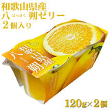 �����̉ʎ� �a�̎R���Y ����i�͂������j�[���[ 120gx�Q�p�b�N �J��