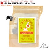 ≮ ANYTIME BREWING BAG 25g xgi ArJ _bgs[x[ Gj^C u[COobO Q-Rcup y2025NŤiz BB