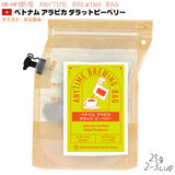 珈琲問屋 ANYTIME BREWING BAG 25g 【ベトナム アラビカ ダラットピーベリー】 エニタイム ブリューイング バッグ 2-3cup 【2026年9月だけの限定品】 BB