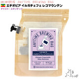 珈琲問屋 ANYTIME BREWING BAG 25g 【エチオピア イルガチェフェ レコマウンテン】 エニタイム ブリューイング バッグ 2-3cup 【2026年9月だけの限定品】 BB