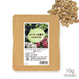 ブラジル産 コーヒーの発芽用種子 10g（約40粒）品種：カツアイ