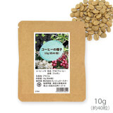 ブラジル産 コーヒーの発芽用種子 10g（約40粒）品種：ブルボン