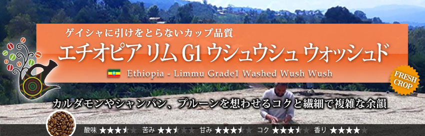 �G�`�I�s�A ���� G1 �E�V���E�V�� �E�H�b�V���h  