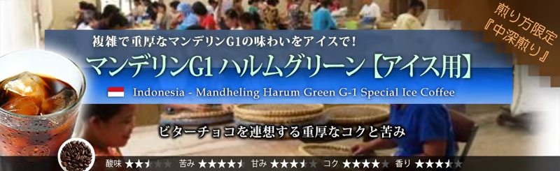 �G�������h�}�E���e�� �C���K�`�F�t�F �A�C�X�R�[�q�[ 
