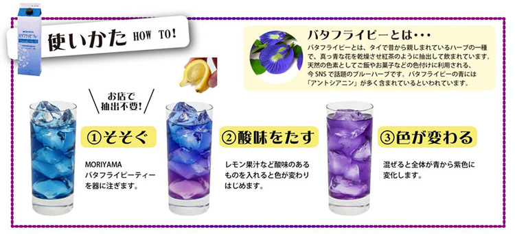 バタフライピーティー 着色料不使用 1000ml / MORIYAMA 守山 リキッド ハーブティー