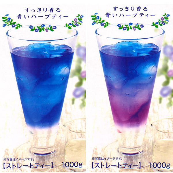 バタフライピーティー