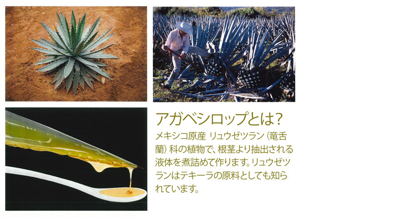 モアアガベ オーガニックアガベシロップ 360g
