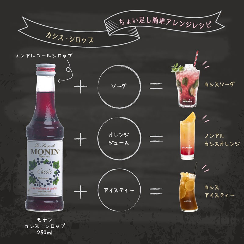 MONIN モナン シロップ 250ml