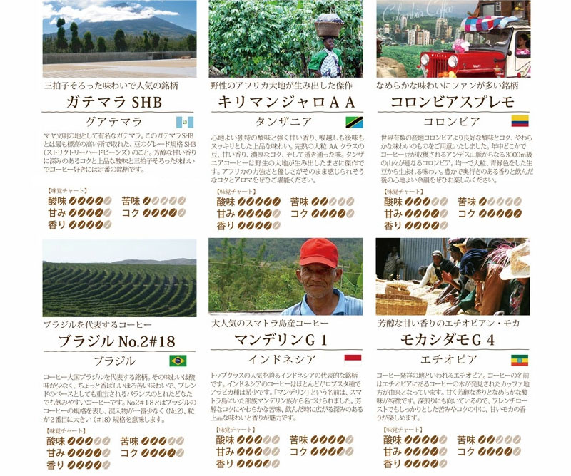 コーヒー生豆詳細