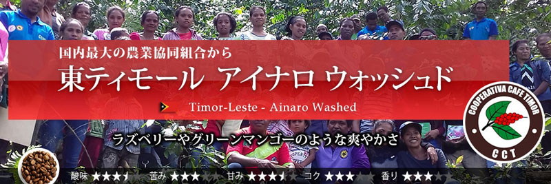 ���e�B���[�� �A�C�i�� 