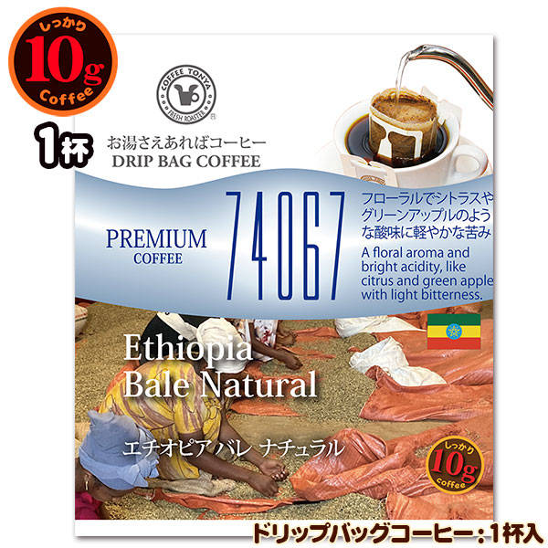 74067 �G�`�I�s�A �o�� �i�`������