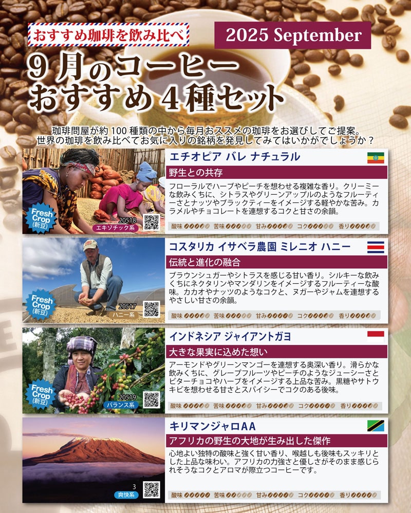 おすすめ豆4種類お試し