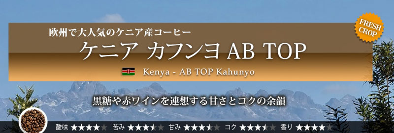 ケニア カフンヨ AB TOP