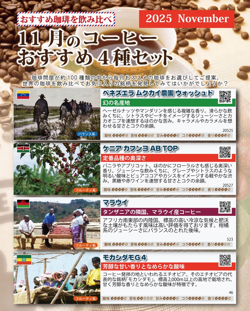 おすすめ豆4種類お試し