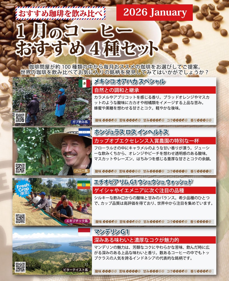 �������ߓ��S��ނ����� 