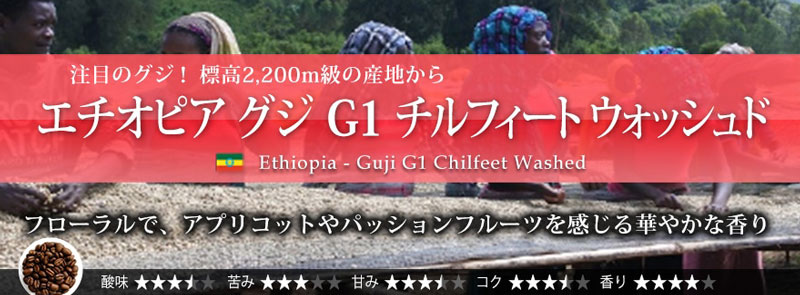 �G�`�I�s�A �O�W G1 �`���t�B�[�g �E�H�b�V���h 