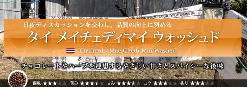 �^�C ���C�`�F�f�B�}�C �E�H�b�V���h 