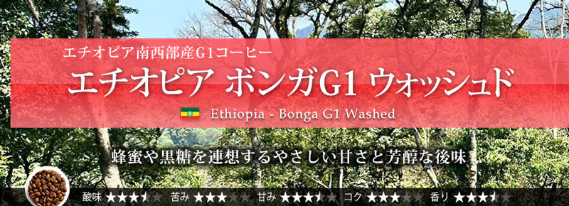 �G�`�I�s�A �{���KG1 
