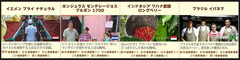 何が出るかな?お楽しみコーヒーメール便