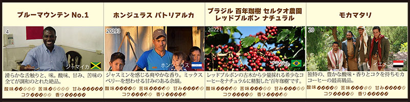 何が出るかな?お楽しみコーヒーメール便
