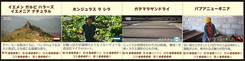 何が出るかな?お楽しみコーヒーメール便