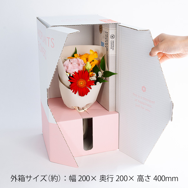 �O���̃T�C�Y