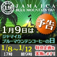 �u���[�}�E���e���̓�