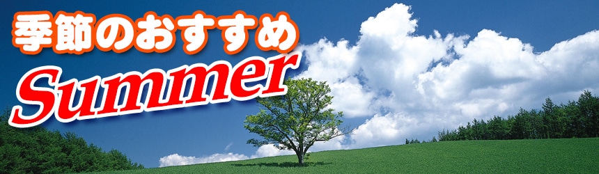 珈琲問屋 季節のおすすめ品(夏)