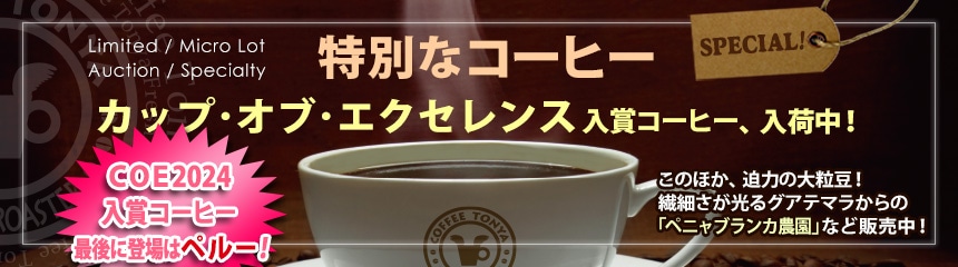 ʂȃR[q[̃y[W