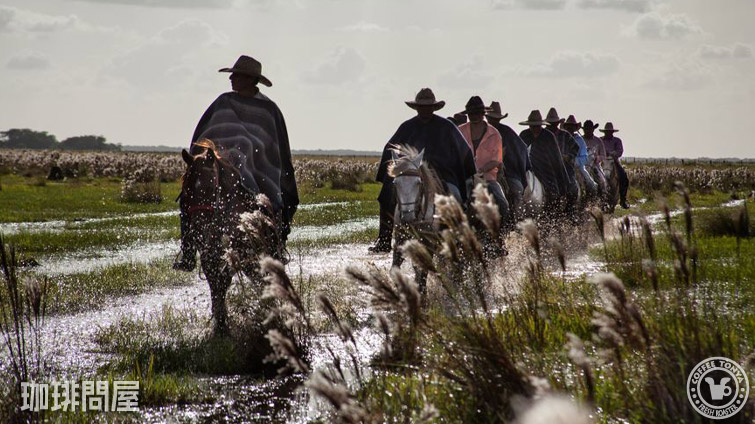 ベネズエラ ムクカイ農園 ウォッシュド