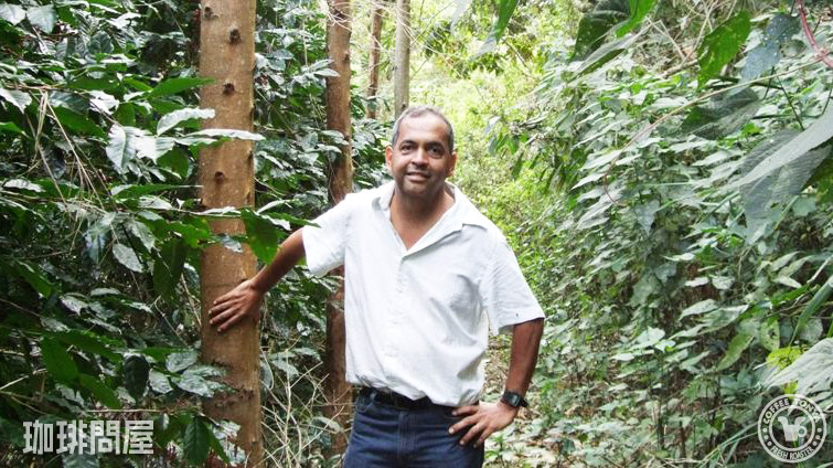 ブラジル キャラメラード