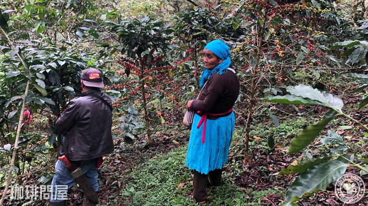 メキシコ オアハカ スペシャル