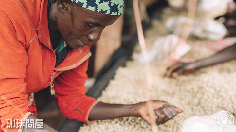 �u�����W �j���K