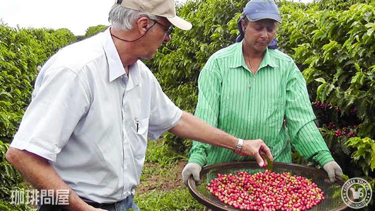 �u���W�� �V���R��