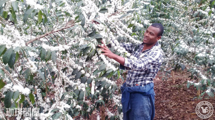 �G�`�I�s�A �J�b�t�@G3 �Q�C�V�� �i�`������