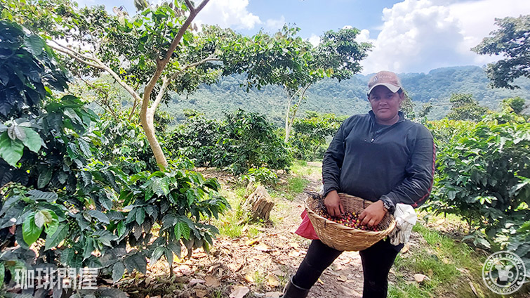 �j�J���O�A ���X�A���e�B�v���m�X �p�J�}��