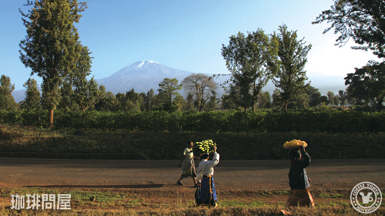 �L���}���W����AA