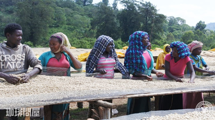 �G�`�I�s�A �O�WG1 �`���t�B�[�g �E�H�b�V���h