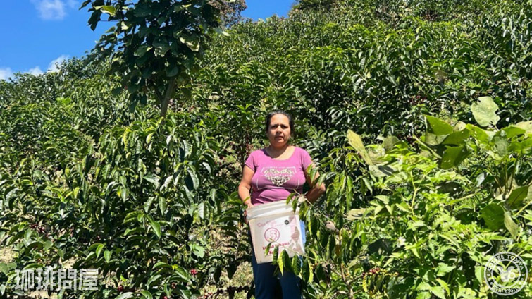 �y���[ �}���A �j�G�x�X