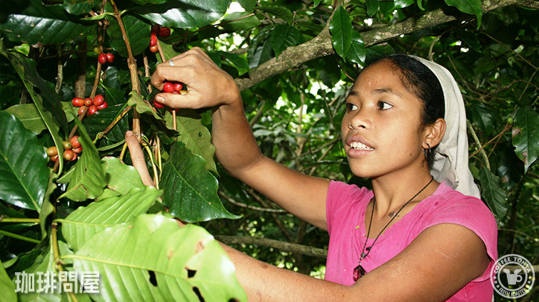 ���e�B���[�� �A�C�i�� �E�H�b�V���h