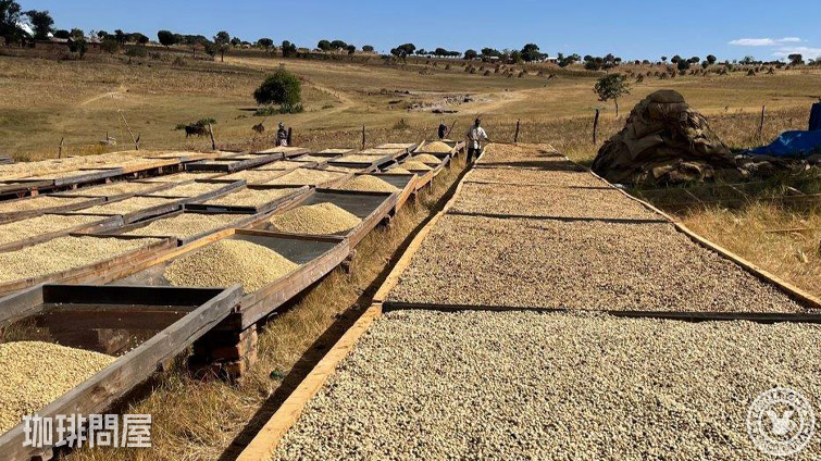 �^���U�j�A ���x�� �}�g�D���_
