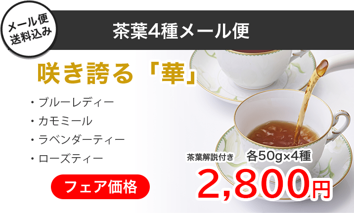 �炫�ւ�؃t���[�o�[�e�B�[���[���ւS��